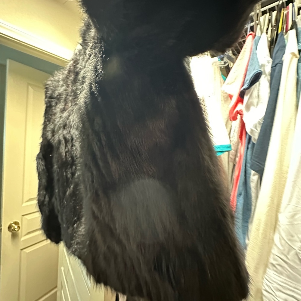 Saga Furs Black Mink Fur Coat - Picture 10 of 16